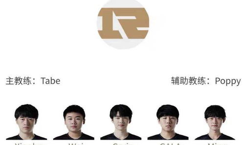 够野才行，常丹丹的85集奋斗历程