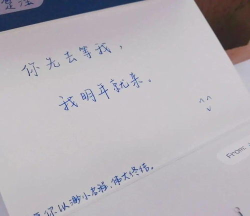 人生如路，为你披荆斩棘是我在这条路上最真挚的承诺。这是一部充满情感、挑战和成长的90集故事，记录了我们从陌生到熟悉，再到彼此生命中不可或缺的过程。在这漫长的旅程中，我们共同经历了风风雨雨，一起披荆斩棘，携手前行。
