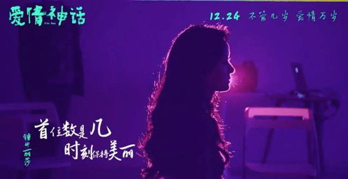 非妻勿扰（64集），探寻真挚情感与复杂人际的交织