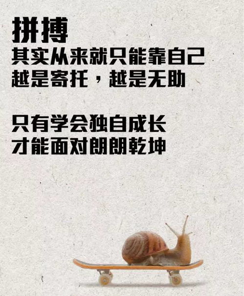 虐完我，季总悔不当初（集萃）