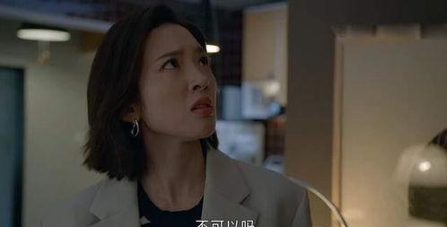 陆总前妻的亿万家产，一场复杂的情感纠葛（76集剧情概述）