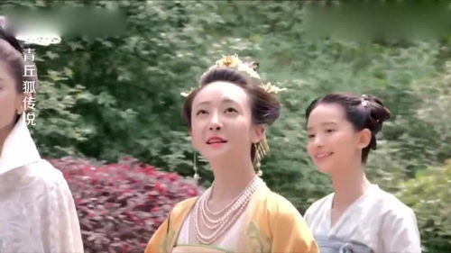 妻子的伪装（电视剧版）