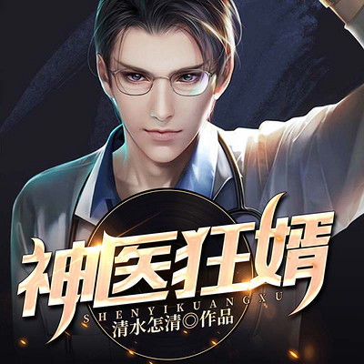 医武狂婿，跨界奇才的传奇人生