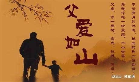 父亲的爱，深刻而独特的陪伴（81集深度解析）
