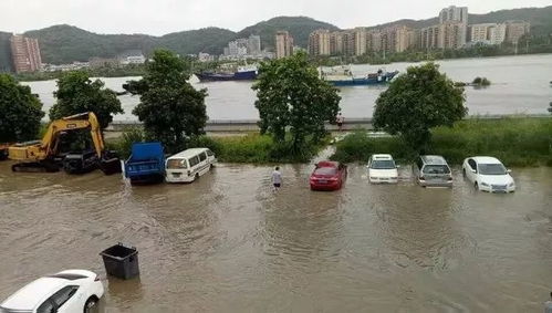 广东沿海多地遭遇海水倒灌，车辆被淹成灾