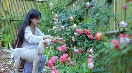 李子柒，青少年不应只梦想成为网红，真正的价值在于深耕与专注