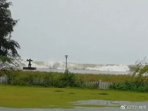 深圳八景之一的中英街遭遇海水倒灌，历史与自然的交织挑战