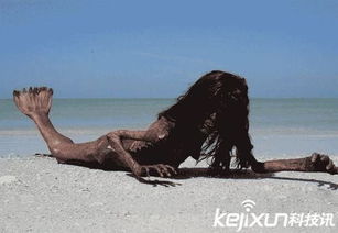泰海域发现无头美人鱼疑遭猎杀，神秘生物遭遇人类威胁的新证据