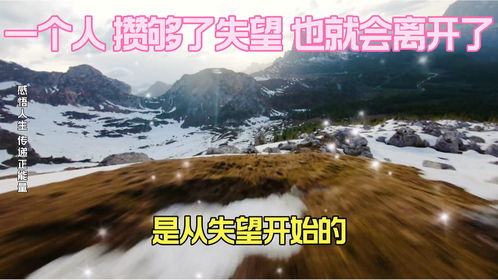 云上时光，一部探寻心灵深处的80集人生启示录