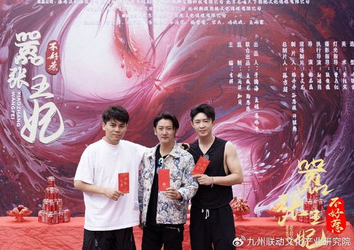 嚣张王妃不好惹（100集）