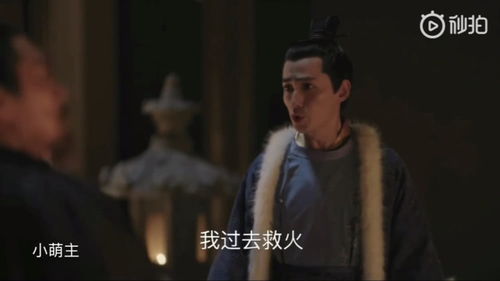 秦爷的小哑巴