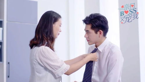 离婚后前妻她美又飒（89集），人生新篇章的启示