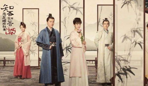 如梦令之替嫁娘子高手传奇