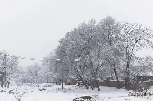雪落下的声音（61集）