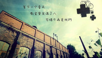孤单又灿烂的你（67集），柴柴的人生旅程