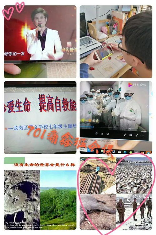 生命的坚韧与脆弱，纪念一位勇敢的抗癌博主一只羊吖的离世