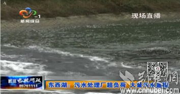 关于武汉是否存在污水直排长江现象的官方辟谣与深度解析