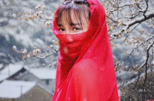 业内视角，李子柒可以走通商业化