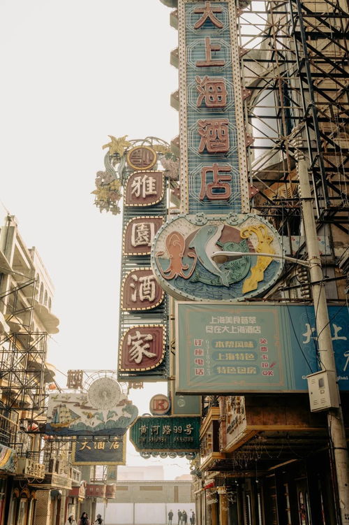 繁花之崛起，90年代的辉煌篇章（81集）