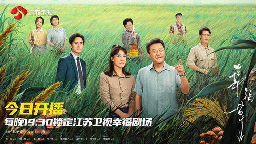 我赠贤妻万两金，81集连续剧的魅力与情感深度