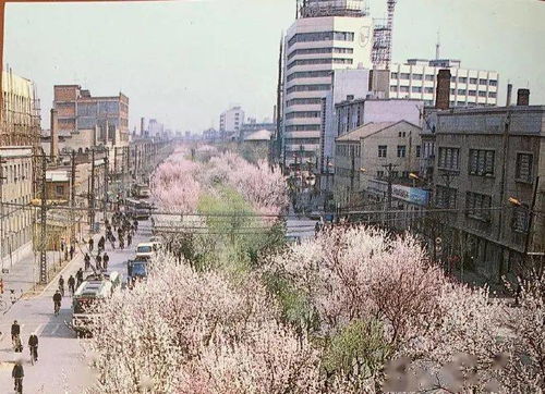 我在80年代乘风破浪（82集）