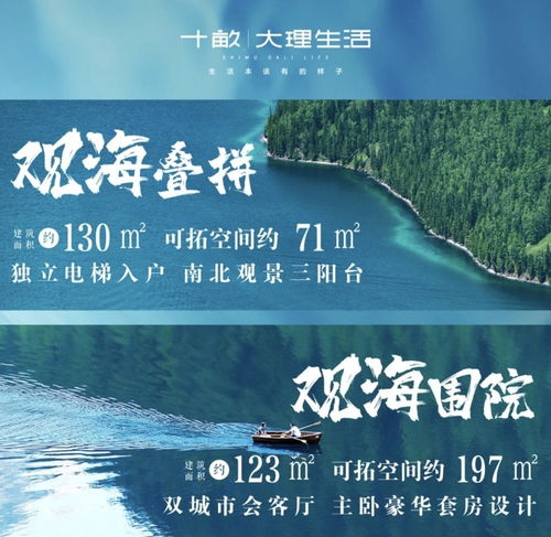 双面主妇，生活的多重色彩（51集深度解析）