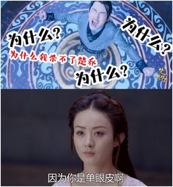 哎呀又把反派虐哭了（96集）——杨妍的情感征途