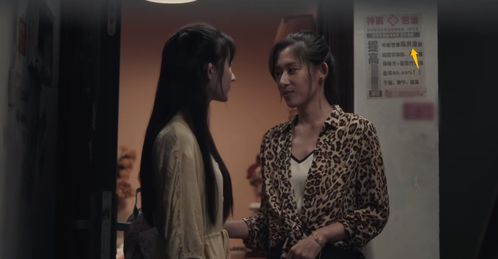 穿到现代来闪婚剧情解析（1-10集）