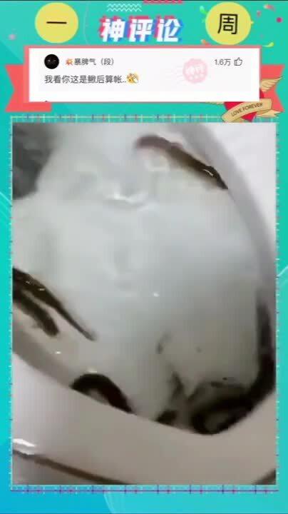 女子买两斤泥鳅疏通下水道，环保与智慧的结合
