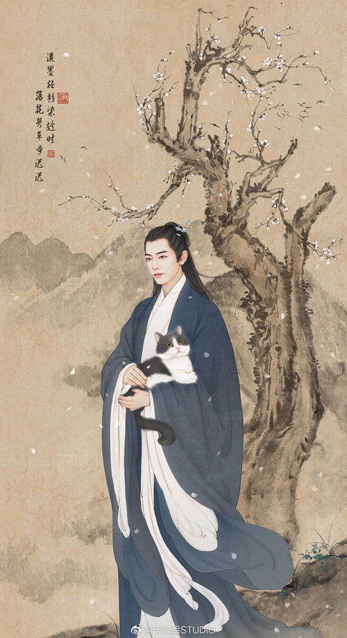 来自大山的哑娘（66集），张诗媛的坚韧与美丽