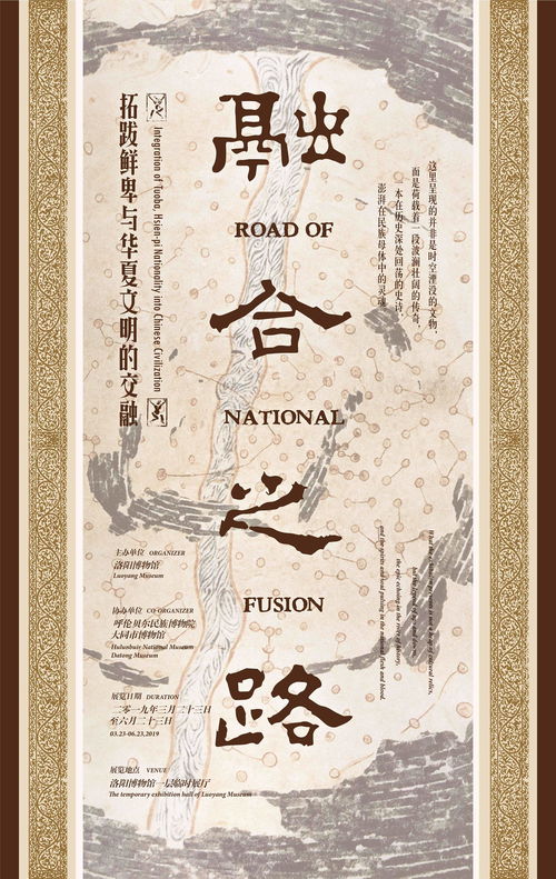 妙手乡医，医术与情感的交融