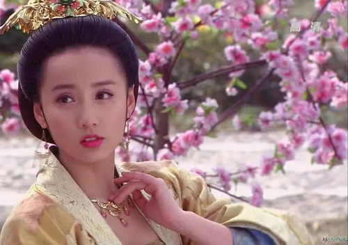 当皇后穿成了豪门弃妇（1集至10集）