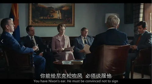契约驸马爷，权力与情感的交织（74集剧情深度解析）