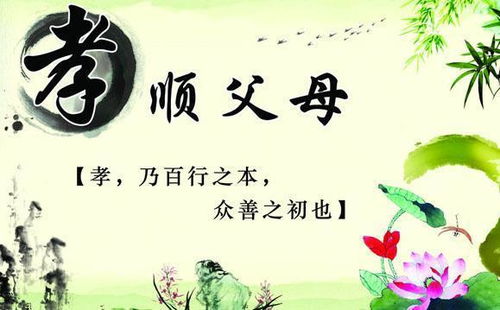 百善孝为先（68集）深度解读孝道文化及其重要性