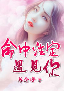 命中注定守护你（95集）——戴菲的深情之旅