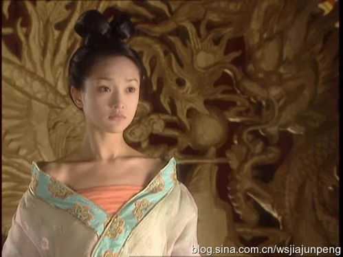 长公主在此（71集），权力、爱情与宫廷风云