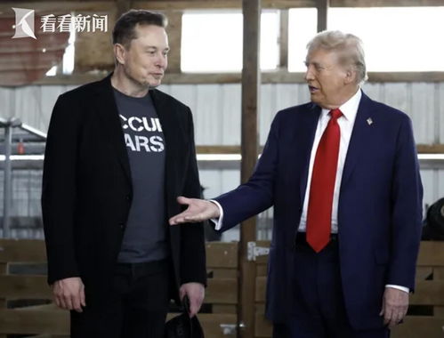 马斯克新设立的政府效率部最近的工作动态与影响分析