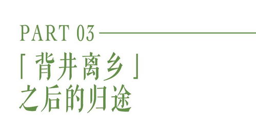 重生之我为自己代言（80集）