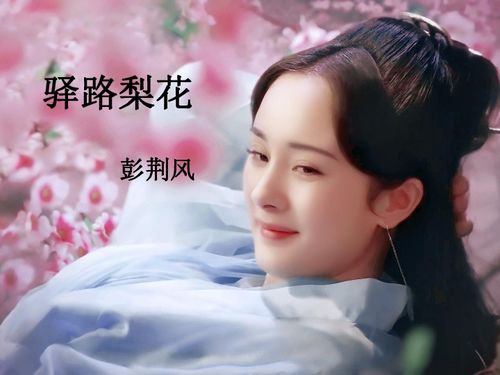 你是星辰遥不可及（79集）