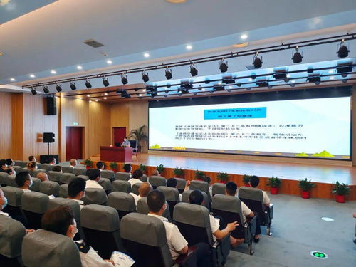 菲副总统誓言，若遇害则归责于马科斯——政治稳定与社会安全的警钟长鸣