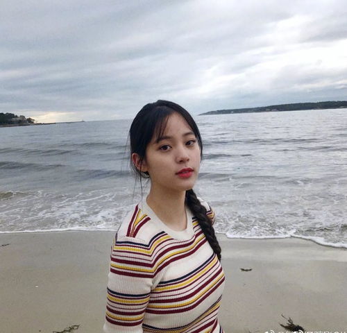 我在娱乐圈与霸总的隐婚之旅（一），初遇与隐婚之谜（共100集）