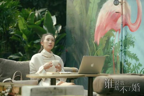 犟骨——她的倔强（电视剧剧本）兰岚（100集）
