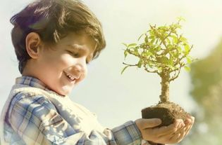 我在深宫养孩子（1至XX集）剧情解析与人物深度剖析