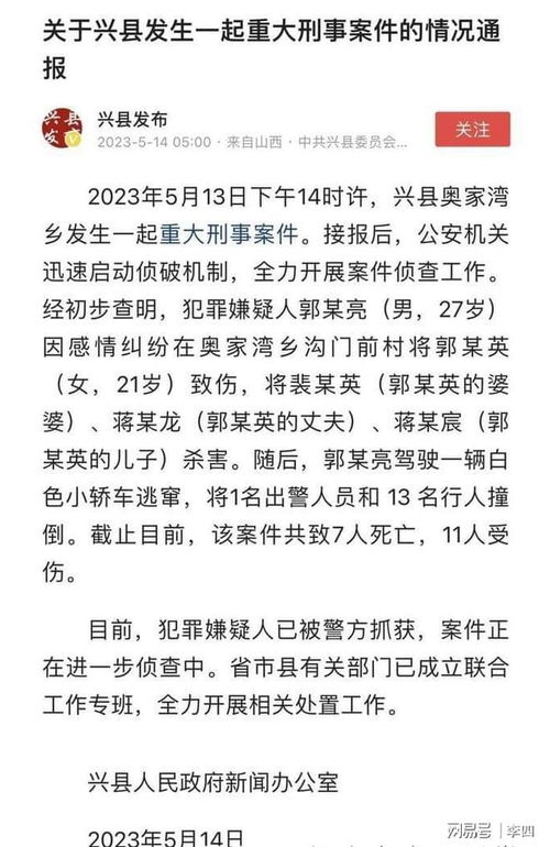 陆总离婚请签字，一场情感的纠葛与决断（90集剧情文章）