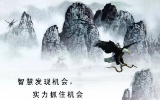 金头御葬马仁山，历史与传奇的交织（60集大型系列剧剖析）