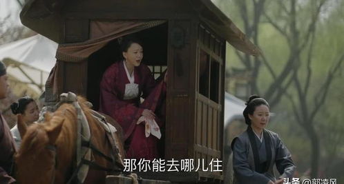 秦爷的小哑巴