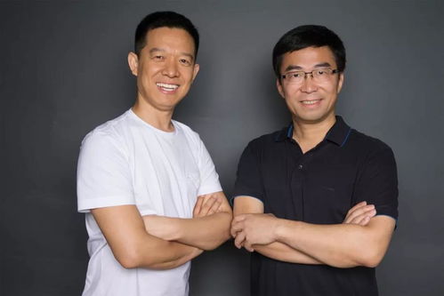 此时有子不如无（96集）丁磊，深度解读与反思