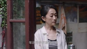 分家后我狂虐极品婆婆（30集连载文章）