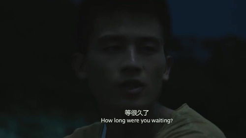他的黑玫瑰又疯又娇（81集）