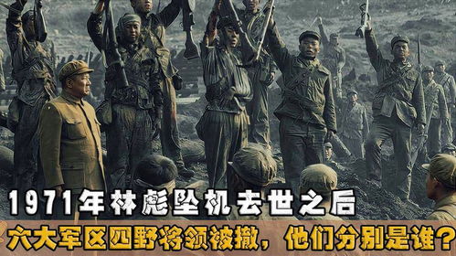 龙临五洲，一部跨越时空的史诗（81集）